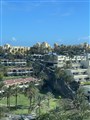 IMG_1445.jpeg