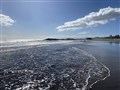 IMG_1465.jpeg