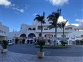 IMG_1540.jpeg