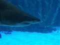 IMG_6604.jpeg