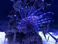 IMG_6606.jpeg