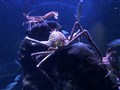 IMG_6607.jpeg