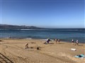 IMG_6609.jpeg