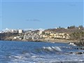 IMG_8772.jpeg